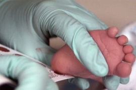 A pair of hands wearing blue gloves holds a baby's heel on a piece of paper. The baby's heel has been pricked,