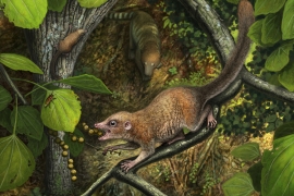 artistic rendering of extinct primate ancestor in trees