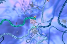 graphic showing how CRISPR edits out the sickle cell mutation in the genome
