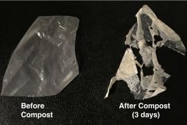 plastic before and after degradation