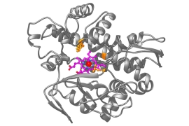 molecular structure of a new metalloenzyme
