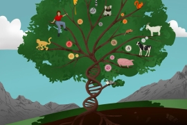 a conceptual illustration of a tree with animals and their DNA transposons in the branches, the tree is green and the trunk is a DNA helix the illustration shows how many mammals are connected by DNA