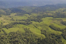 deforestation in Tayra Reserve
