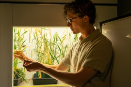 a man looks at plant growing in brightly lit box