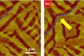 This AFM image shows a recoverable phase transformation in a bismuth ferrite film introduced by an applied electric field. The dashed blue line shows the relocation of the phase boundaries.