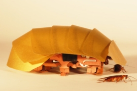 CRAM robot, inspired by cockroaches