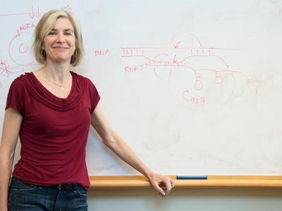 Jennifer Doudna standing in front of white board