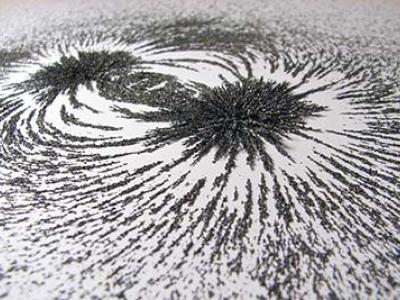 Iron filings gather in a magnetic field pattern