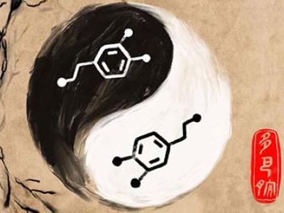 the yin and yang of dopamine