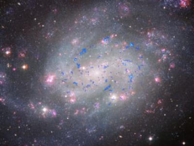 molecular clouds in galaxy NGC300