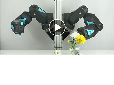 Thumbnail of video: Blue, Berkeley's "human-safe" robot