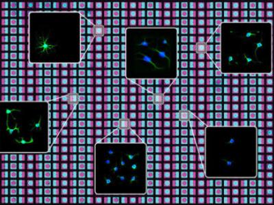 Squares showing individual cells are highlighted against a background of blue and purple squares