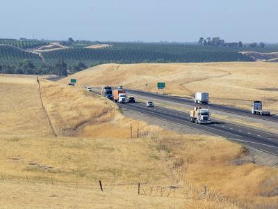 Large trucks drive on a highway that cuts through yellow fields. 