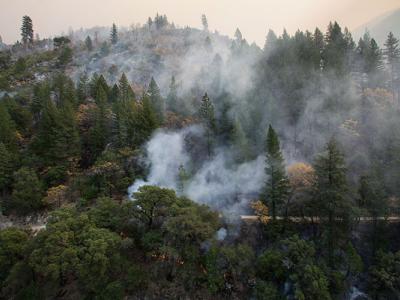 A photo of a forested hillside with smoke emerging from the trees, and a hazy, smoke-filled sky.