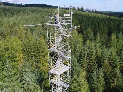 A researcher on top of a tall meteorological tower in a forest