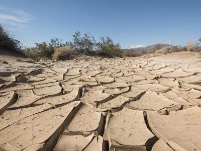 picture of cracked soil in joshua tree