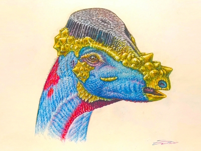 blue, red, yellow and purple drawing of the head and neck of a dome-headed dinosaur