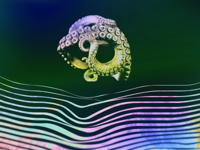 An illustration with a black background, wavy multi-colored lines across the bottom and an artist's depiction of a human head made from octopus tentacles