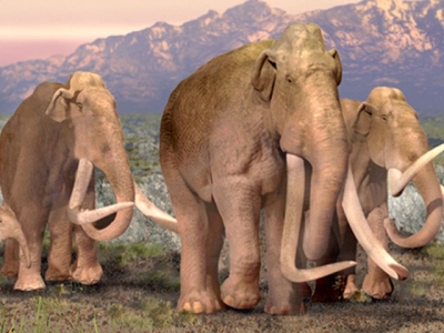An artist rendering of several large mammoths walking through a field