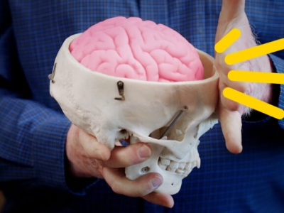 image of man holding a cartoon skull with a brain 