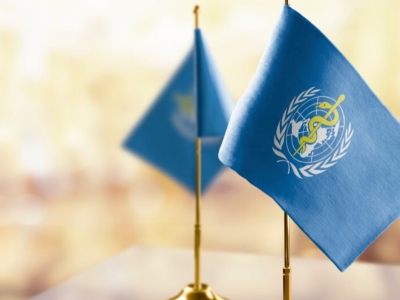 picture of two blue flags from WHO 