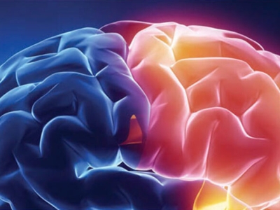 an artistic rendering of the folds of the human brain, colored blue and bright yellow and red