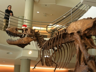 Jack Tseng stands on the second floor of the Valley Life Sciences Building looking down on a replica of a T. rex