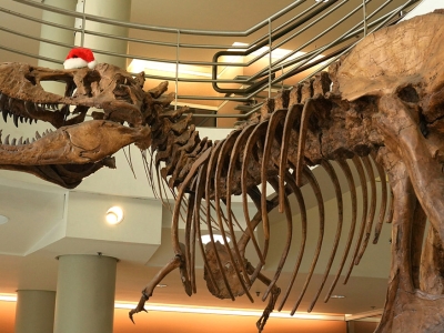 replica of a T. rex in the Valley Life Sciences Building, UC Berkeley 