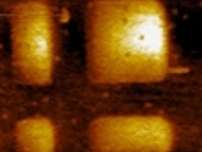 atomic-force microscopy image 