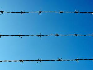 Three lines of barbed wire