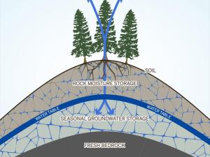 Illustration of rock moisture storage above seasonal groundwater storage above fresh bedrock