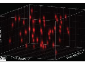 Sample hologram with randomly distributed neuron targets in red around the box. True depth, x/y/z