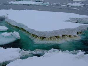 ice flow with algae