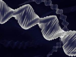 A set of helical crystals against a dark background