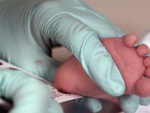 A pair of hands wearing blue gloves holds a baby's heel on a piece of paper. The baby's heel has been pricked,