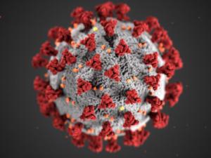 3D model of COVID-19 virus