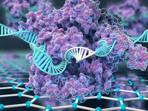 An illustration of a CRISPR-Cas9 protein bonded to a sheet of graphene