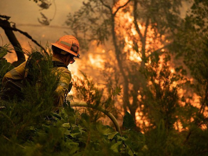 fire fighter in foreground of wild fire