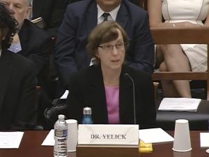 Kathy Yelick testifying