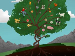 a conceptual illustration of a tree with animals and their DNA transposons in the branches, the tree is green and the trunk is a DNA helix the illustration shows how many mammals are connected by DNA