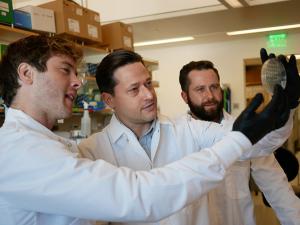 three male researchers looking at a petri dish