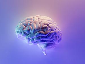 3D rendering of a brain with purple light on it and purple background
