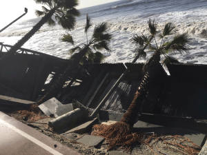 A photo shows palm trees and a walkway that are destroyed and falling into ocean waves