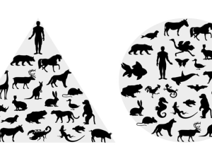 a pyramid of animals with humans on top next to a circle enclosing silhouettes of animals equally with a human