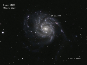 A pinwheel shaped bluish-white spiral galaxy against a black background with white stars sprinkled around