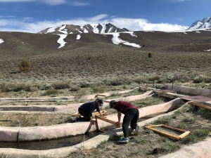 Water flows through a series of concrete channels that zig-zag across a dry, grassy mountainside. In the foreground, Two researchers are placing a wood-framed mesh grid into one of the channels to prevent fish from entering the experiment. Snowy mountain peaks rise up in the background.