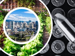 Stylized graphic showing a bullet casing next to concentric circles of a city with a target (inner) and garden growing green vegetables (outer).