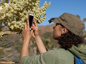 a woman in green cap uses cellphone to photograph a flowering tree