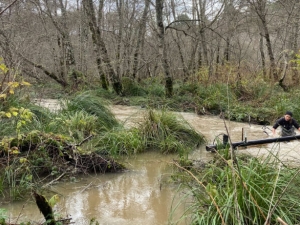 image of a river snaking through a forest surrounded by trees and grass