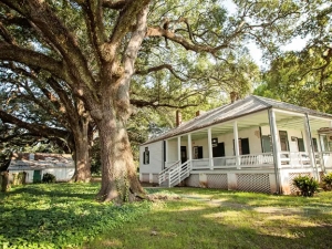 image of a white building with a porch under a large tree